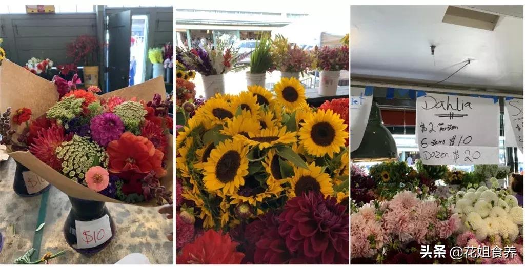 18天我和俩娃，西雅图家庭自由行，民宿、雪山、游艇……好玩刺激