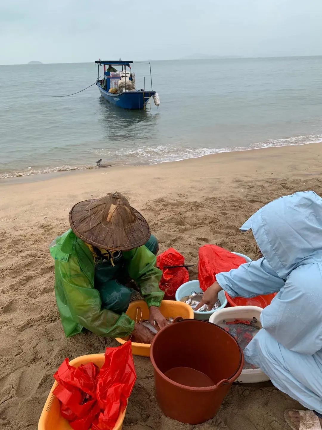 一次惬意的厦门之行,一家三口厦门玩四天