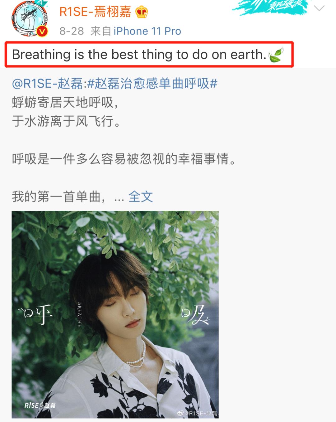 又塌了又塌了,爱情魔力摧毁整个男团