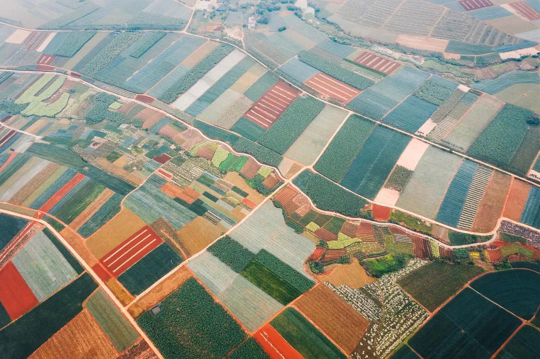 广东糖水为什么那么多人吃,广东糖水好喝吗