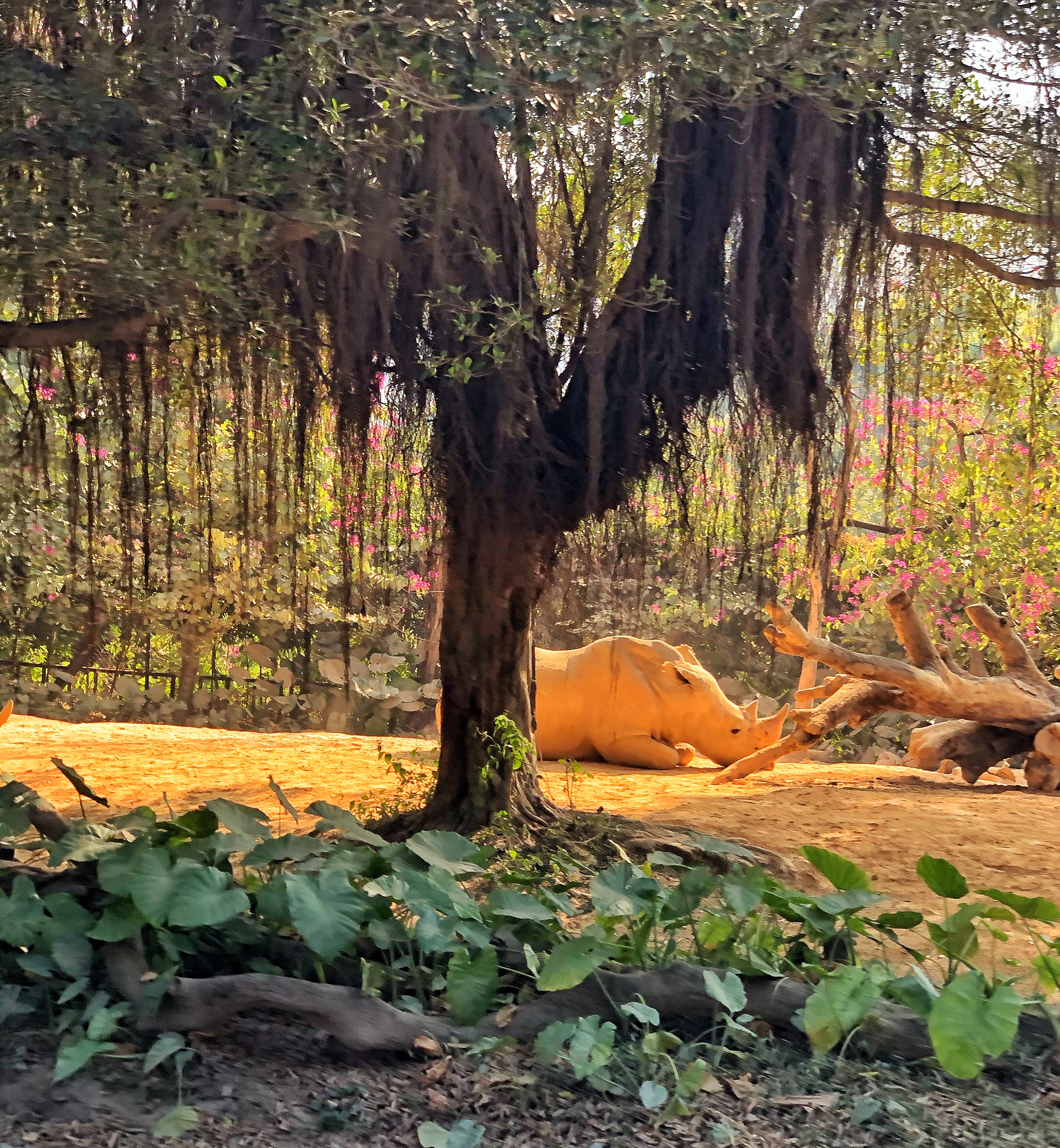 广州长隆游玩超详细亲子游攻略,史上最完整的广州长隆亲子游攻略