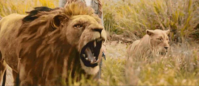 66岁高龄的成龙还能打，他才是披荆斩棘的《急先锋》