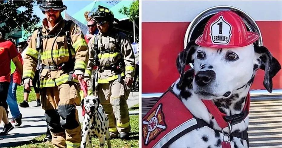 上帝不仅为你开启了一道门，更为你开启了多扇窗