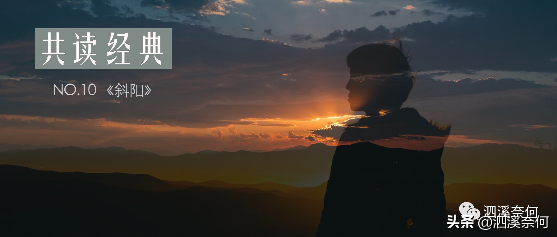 NO.10丨《斜阳》——人都是和命运抗争的斗士