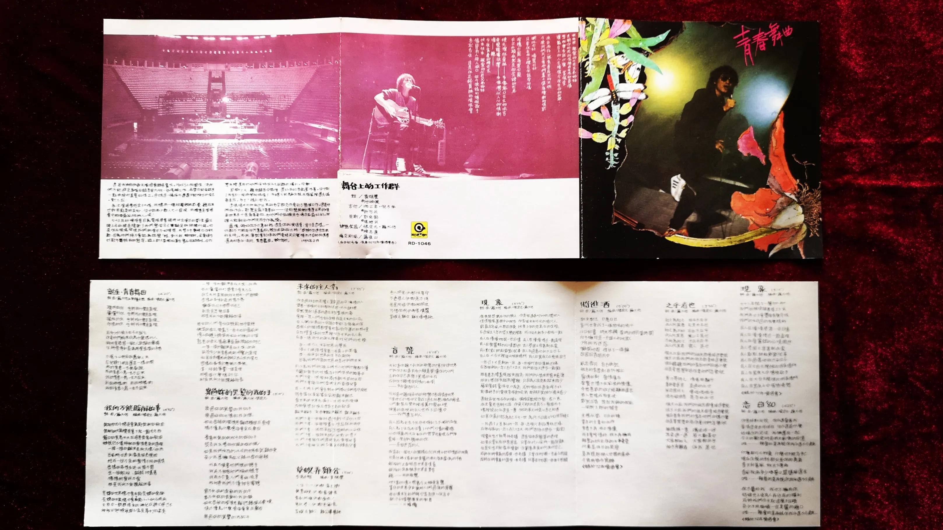 罗大佑青春舞曲原版歌词,罗大佑演唱的青春年华