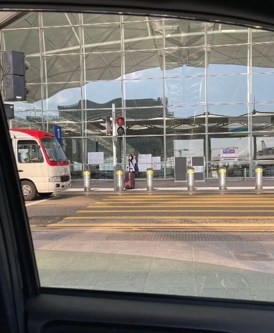 奥运会狗粮,东京运动会狗粮瞬间