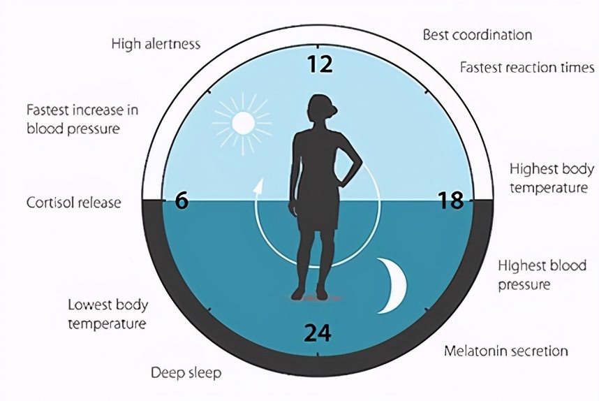 长期脱发怎么补气血,23岁脱发严重发量少怎么办