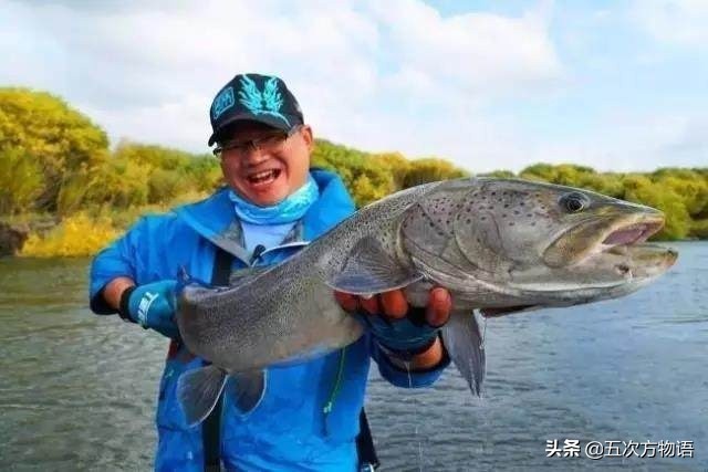 黑龙江特色养殖鱼类,黑龙江名贵鱼种图片