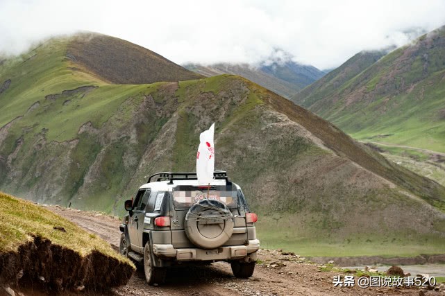 最好的虫草10斤虫草价值多少,正宗西藏鲜虫草多少钱一斤