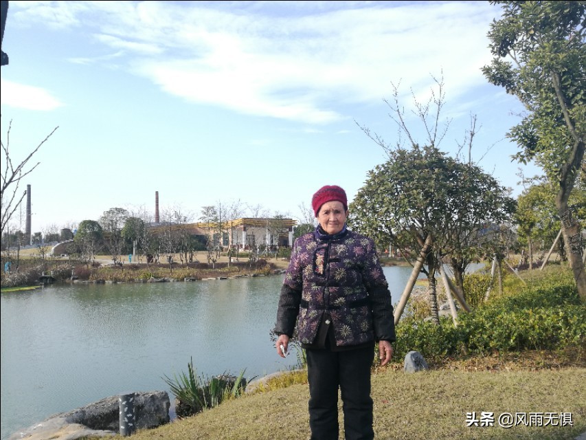 母爱无私而伟大的感悟,母爱为什么是最无私的