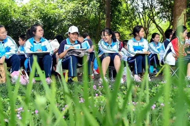 研学旅行是形式教育才是本质,研学旅行在中国教育中的地位