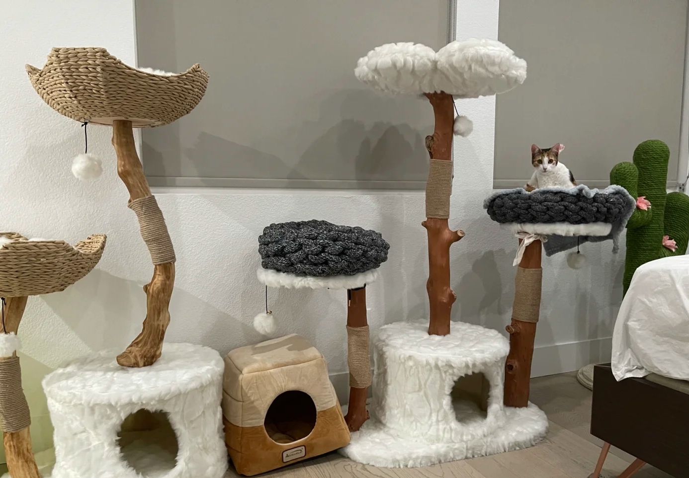 新手养猫必备好物新手铲屎官必看,养猫家庭装修要注意什么