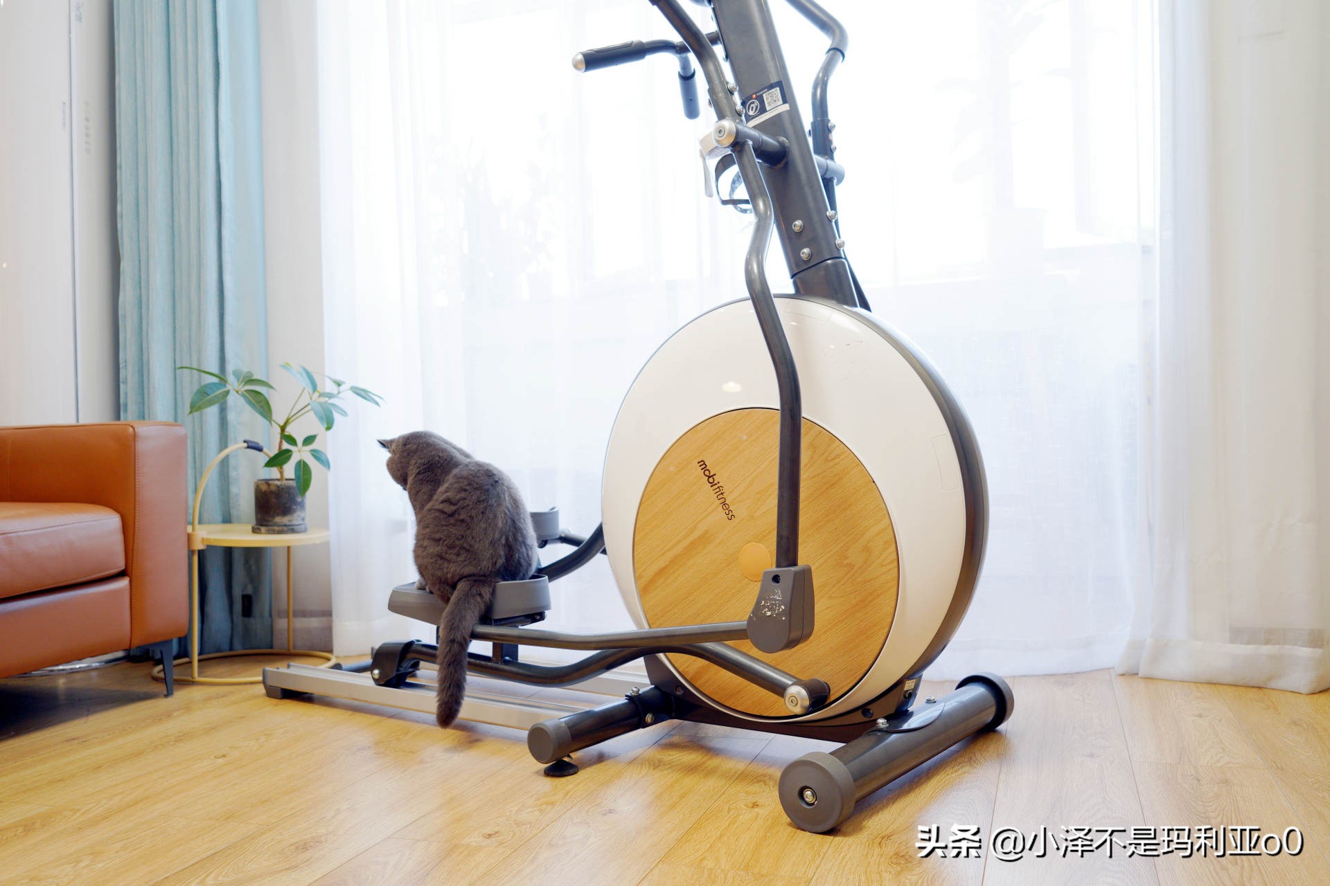 干货输出|细腰翘臀、燃脂塑形，小姐姐手把手教你练习椭圆机