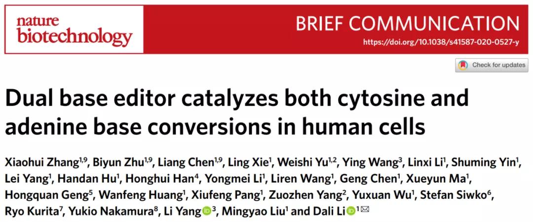 人类首次通过基因编辑攻克隐性遗传病！用单碱基编辑治愈耳聋小鼠