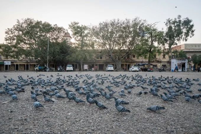 印度最豪华的电影院,印度粉红色之城
