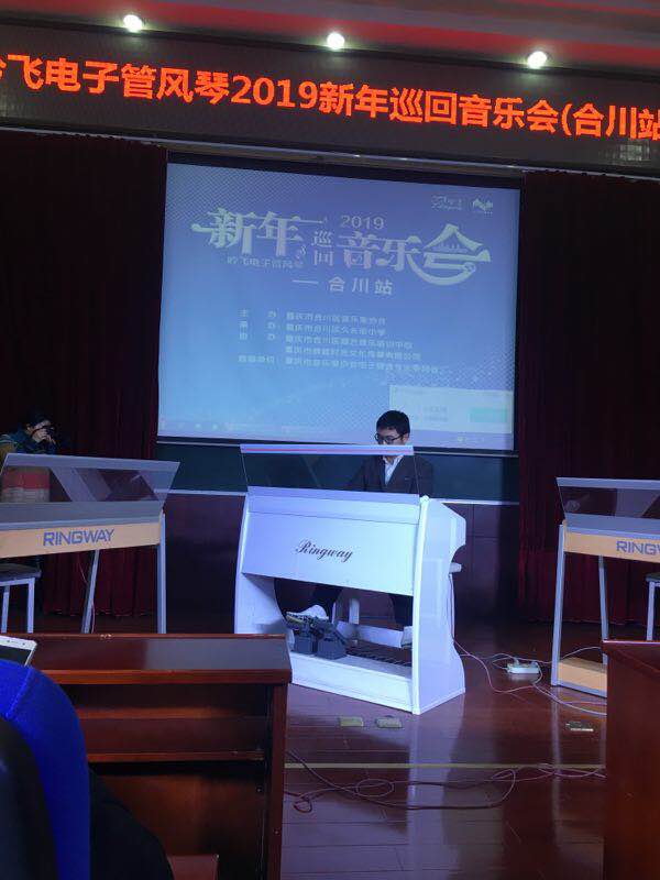 吟飞新年音乐会,吟飞电子管风琴图片