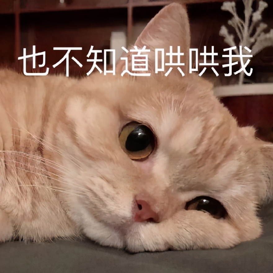 好困不想努力了表情包是什么意思,不想睡觉睡醒了就要上班了表情包