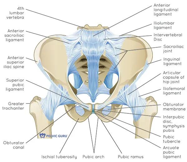 张雨绮怎么瘦成吴谨言了,张雨绮瘦的时候