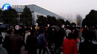 河北华林传销案进展,华林大肆搞传销曝光