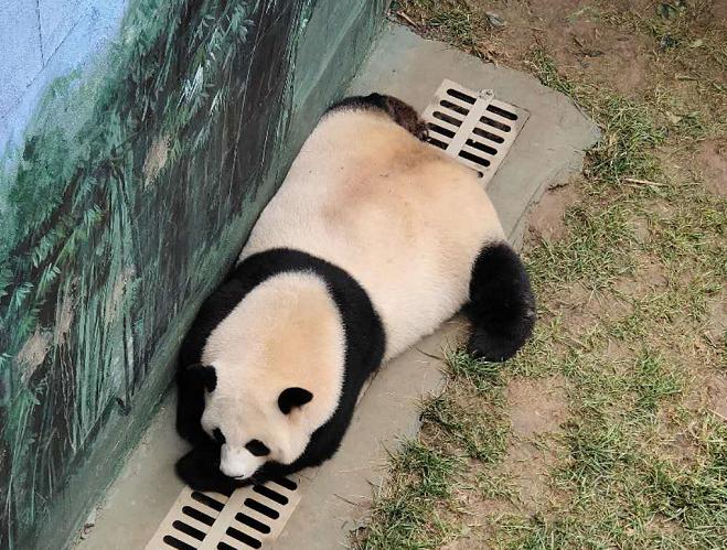 天津假期旅行社组织,天津旅行社出境游项目