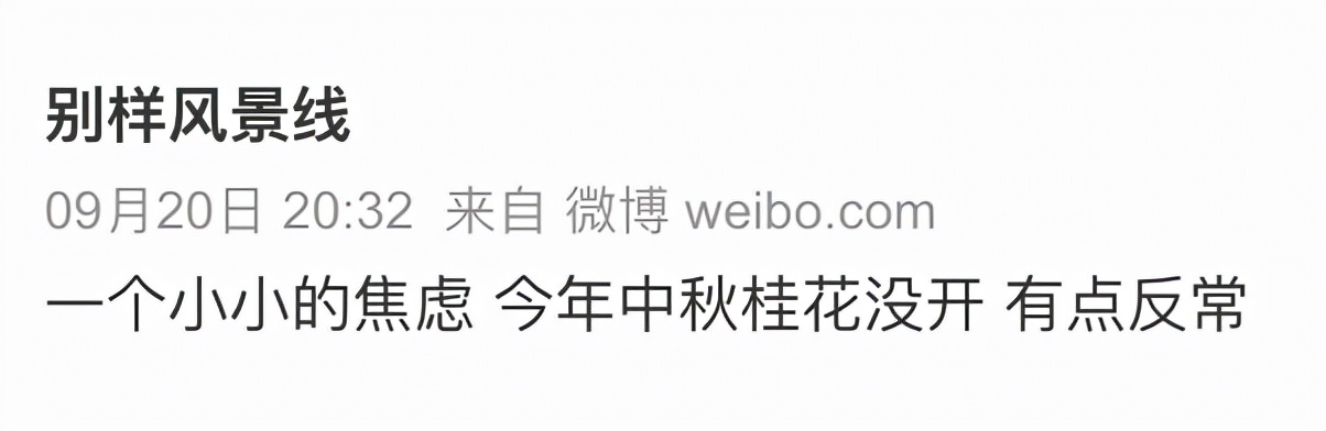 说好的金秋送爽丹桂飘香呢……今秋的桂花为什么迟到了一个月？