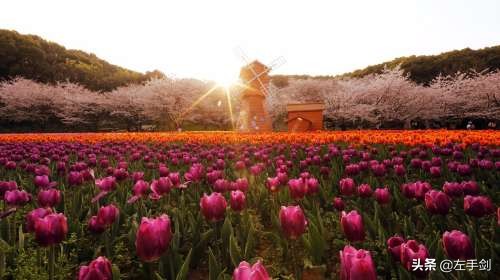 苏州上方山森林公园作文,苏州上方山国家森林公园电话