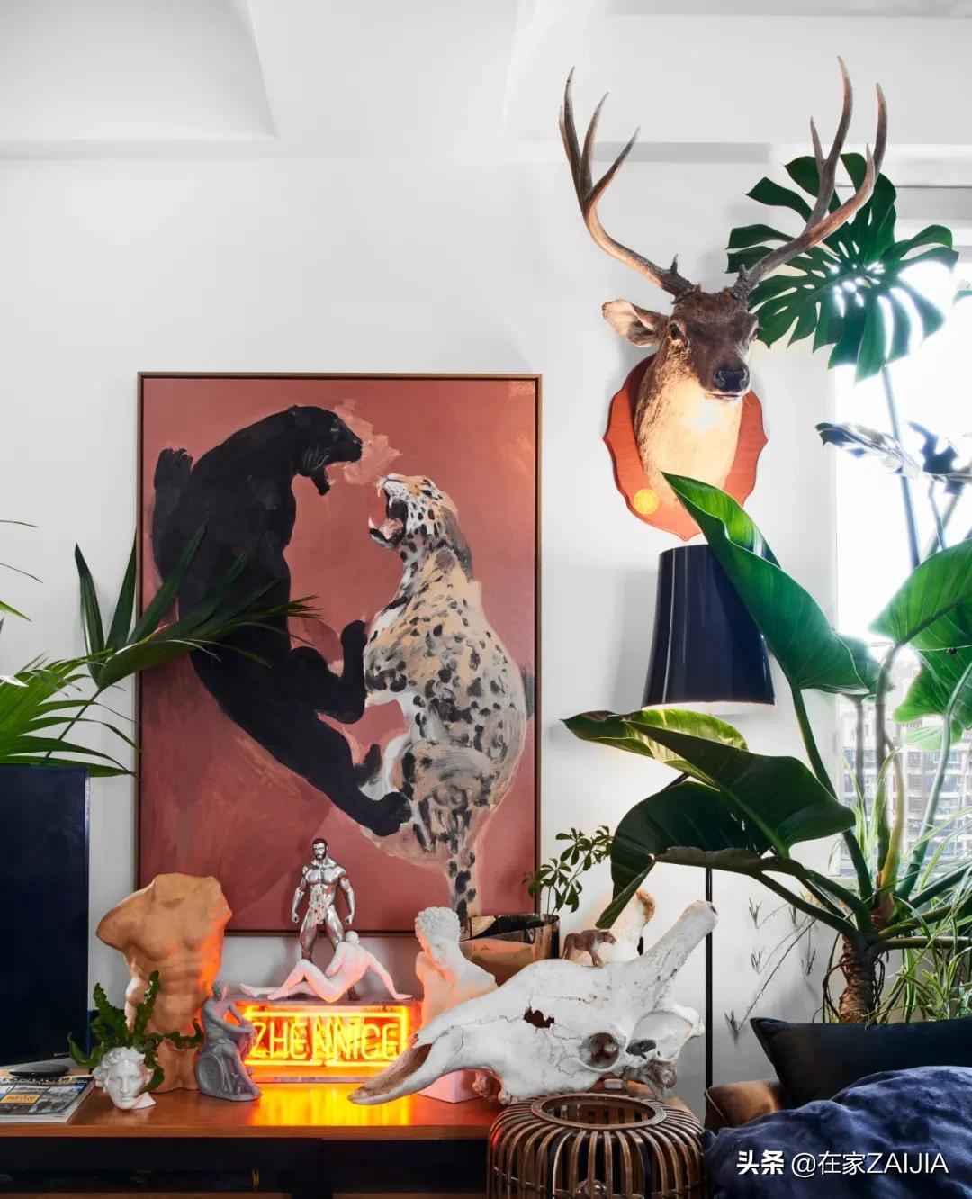 绿植达人爆改70㎡顶层公寓，没有院子却满屋都是花园