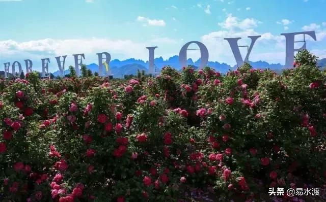 岁月安好,时光静好!愿在易县,与你共赴终老!