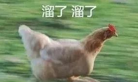 贵阳最正宗的辣子鸡店,贵州贵阳辣子鸡店