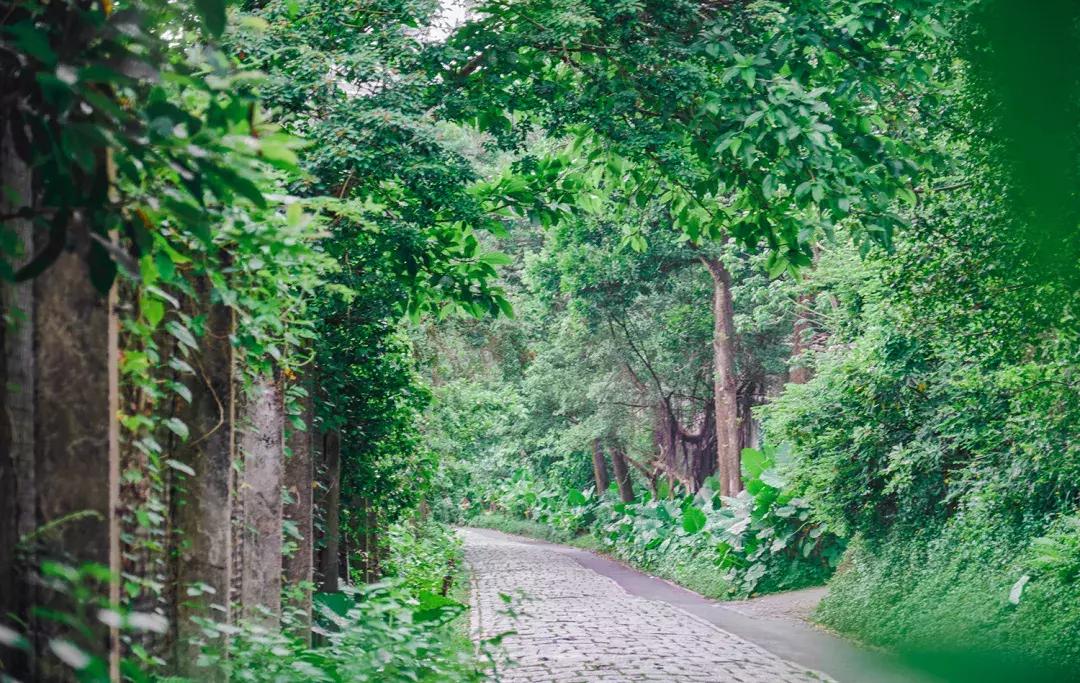 深圳银湖山游玩,深圳银湖有什么好玩的地方