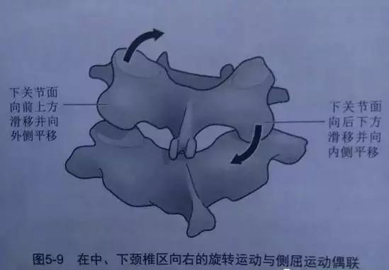 颈椎疼脖子一动就咔咔响,一晃脖子颈椎就咔咔响怎么恢复