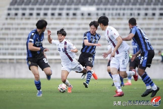 新疆天山雪豹降薪,川足最新消息