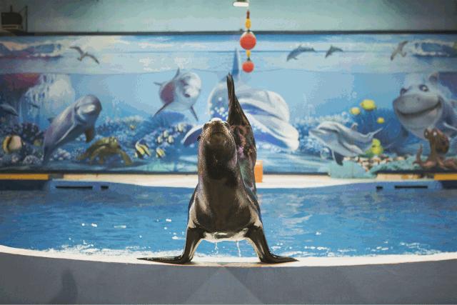 南京周末遛娃好去处,悠闲带娃好去处