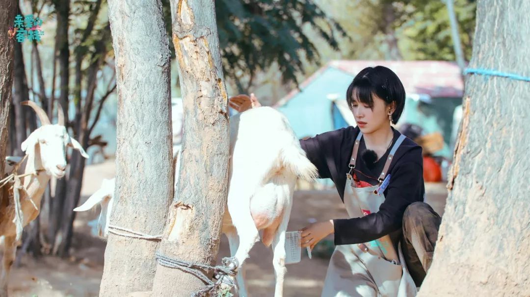 讲好黄河故事传承河洛文化,讲好黄河故事传承黄河文化内容