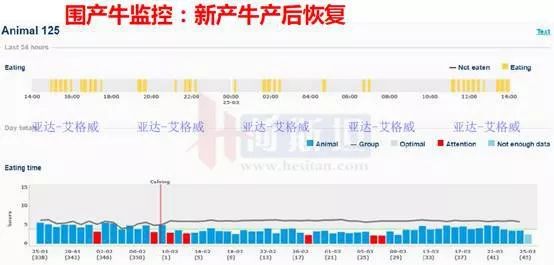 多多牧场高产奶牛的寿命,奶牛生产前有哪些症状