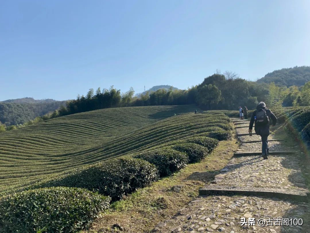 绍兴坡塘：范蠡商经发祥地 山阴道上画中游