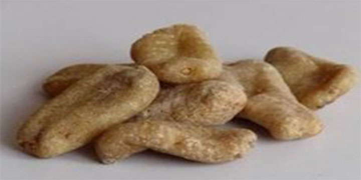 鞍山哪些地方能捡到宝贝,鞍山漂亮宝贝