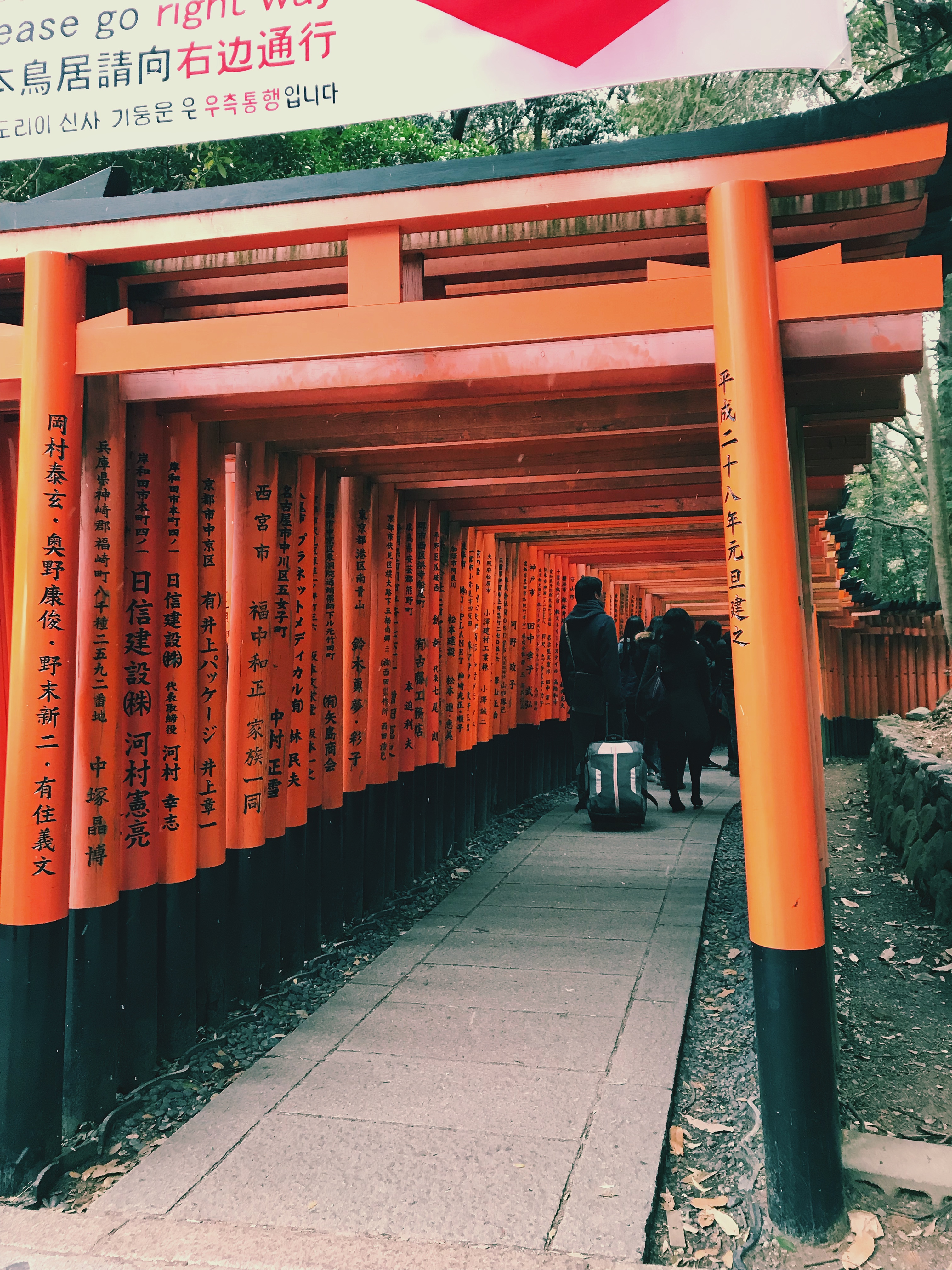 京都伏见稻荷大社宿游,京都必打卡伏见稻荷大社千本鸟居