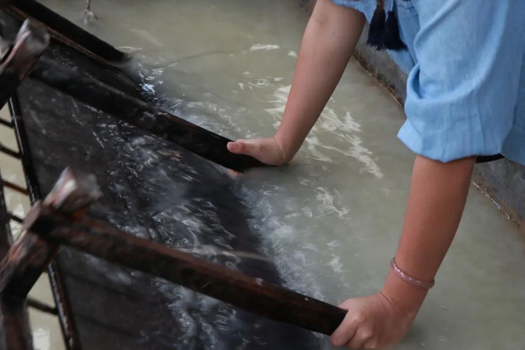 这是一个充满生机的公园怎么说,这是一个充满生机的国度朗诵