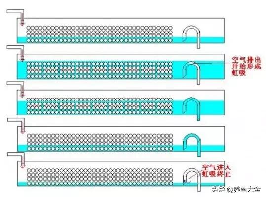 最高效的过滤方式,各种过滤优缺点