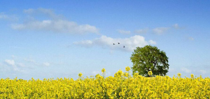 创业就是创造自信,创业才是自己的事业