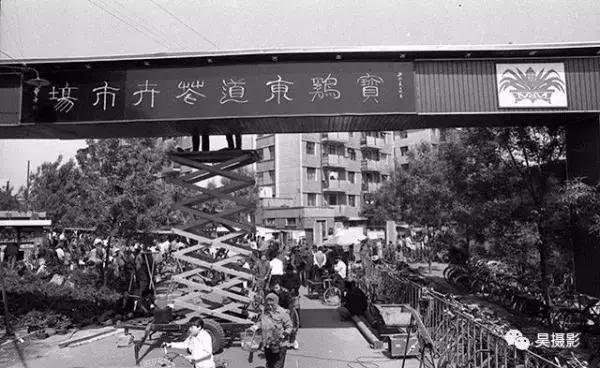 即将消失的花鸟鱼虫市场,天津消失的鱼虫市场