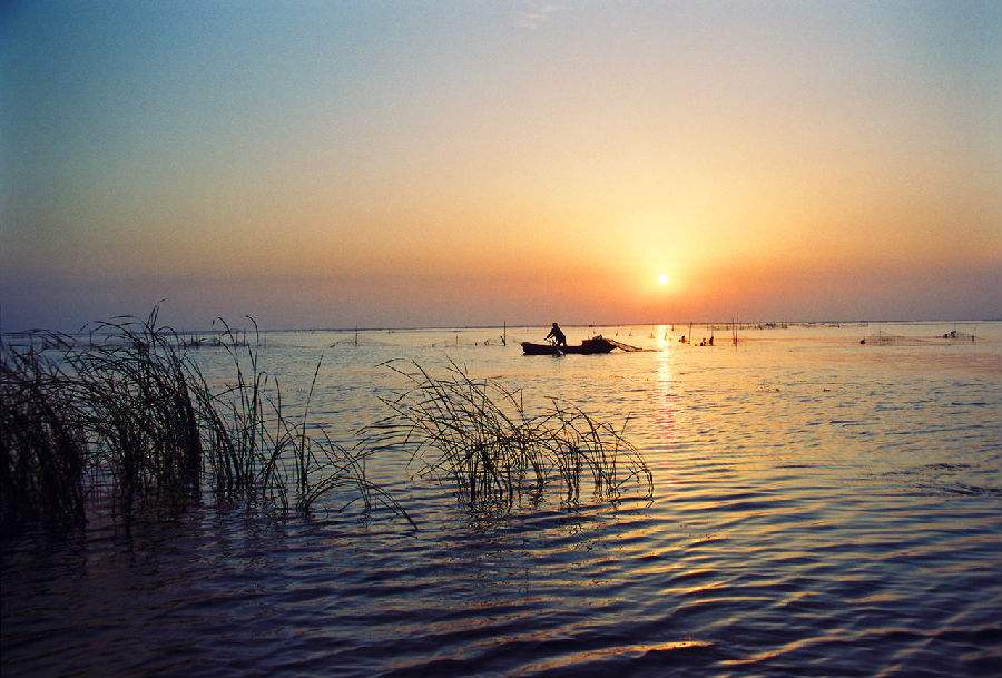 微山湖飘香鱼丸的正宗做法,微山湖手工鱼丸纯手工制作