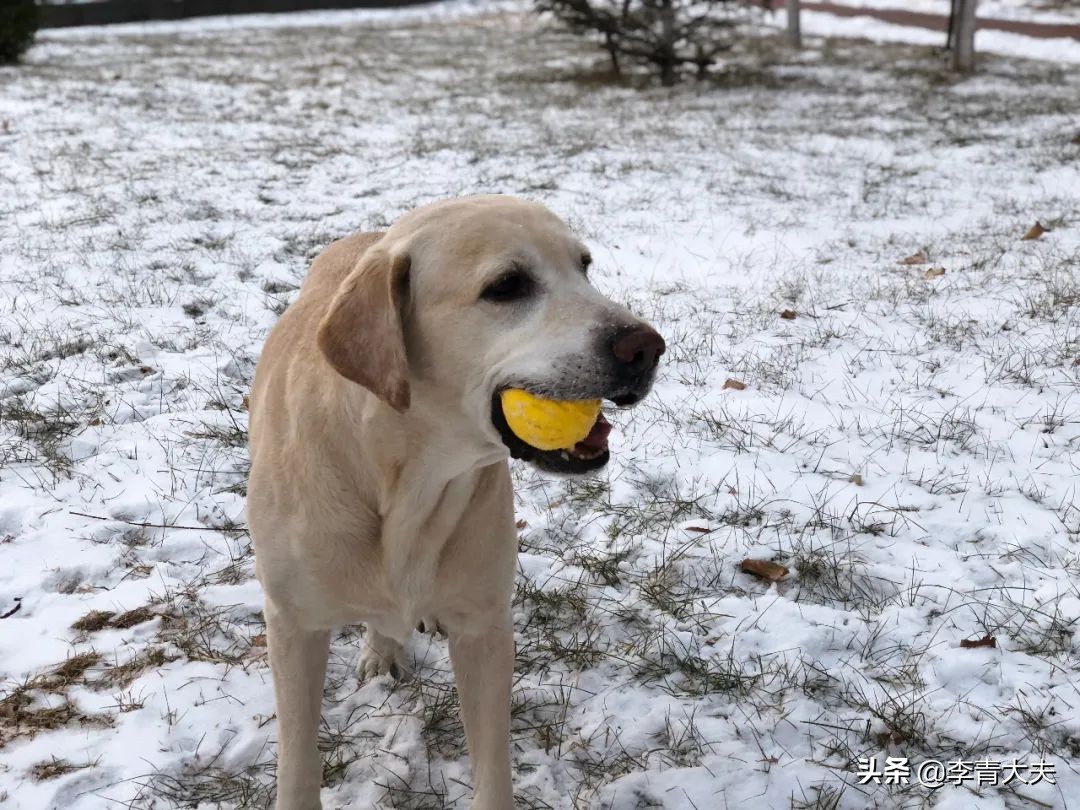 麦扣的家庭,麦扣的质感好物