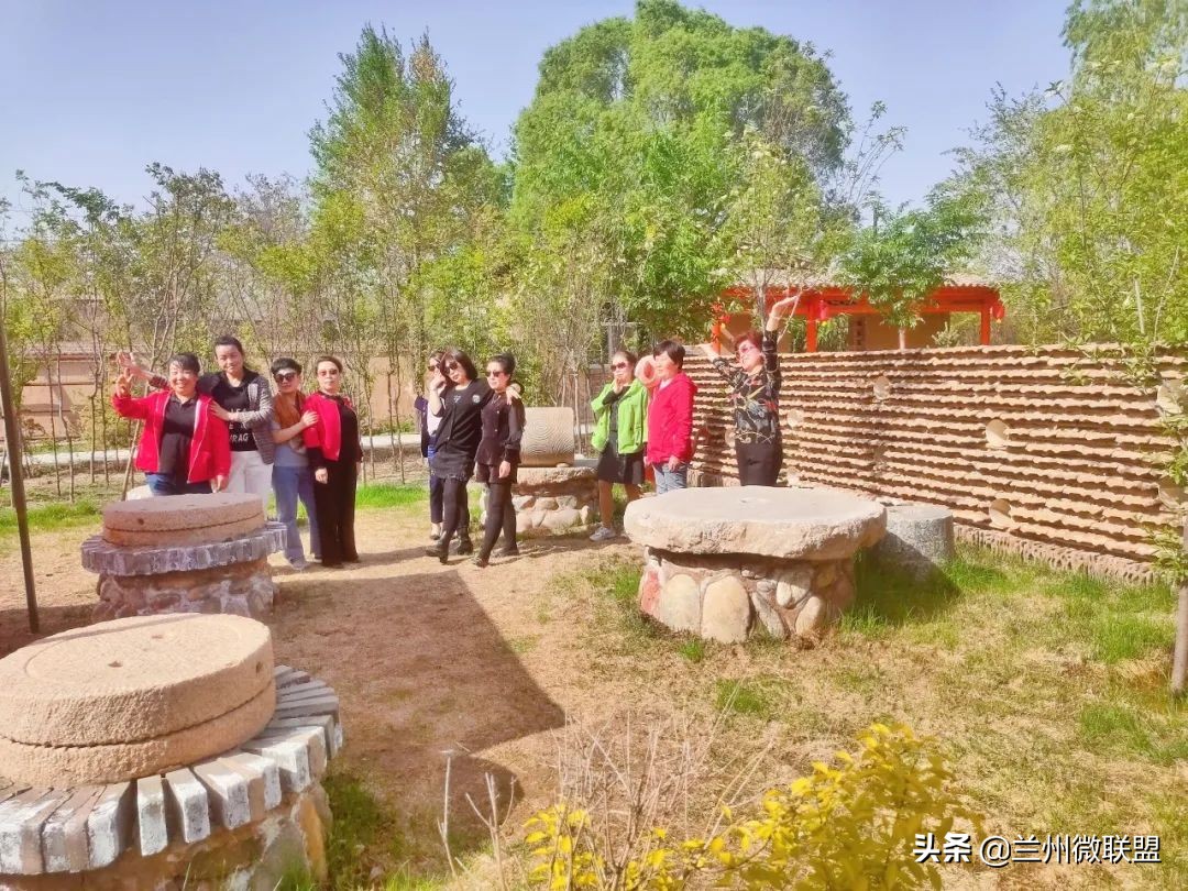 杏林湖黑天鹅,五一假期观光兰州