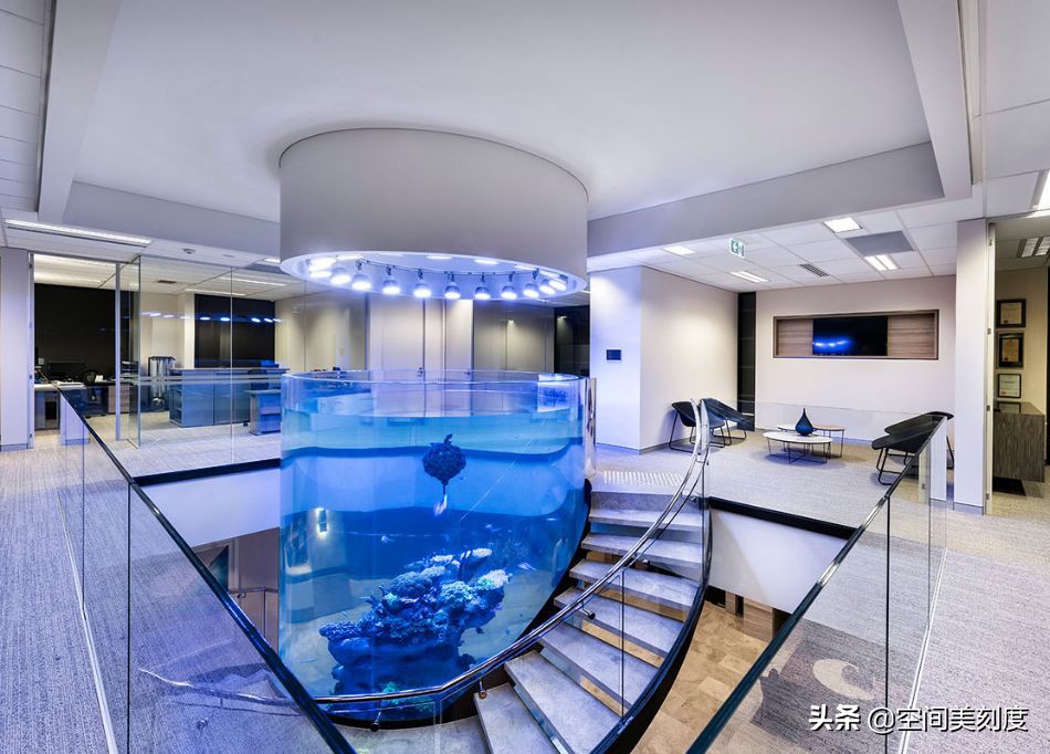 水中精灵大型鱼,水中精灵无与伦比的美