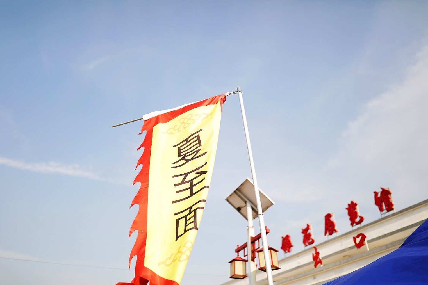 “杏运”来袭：这个县城一件事儿坚持了28年