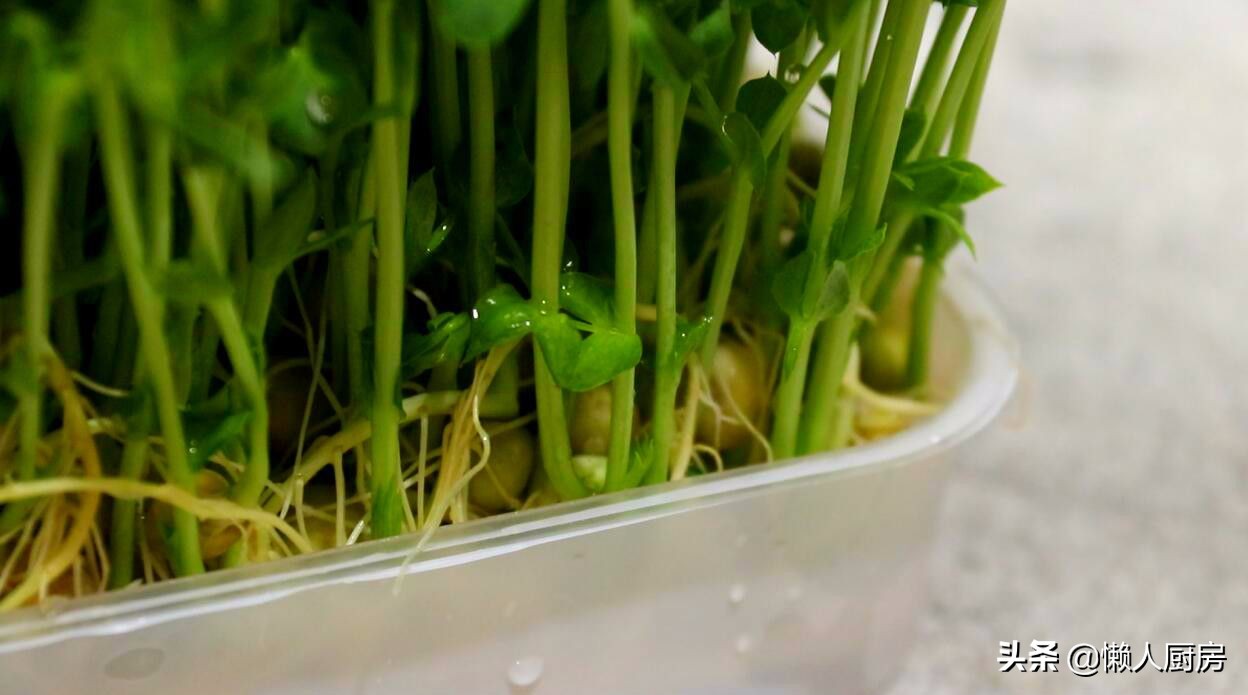 豌豆苗怎么样炒好吃,豌豆苗怎么炒出来最好吃