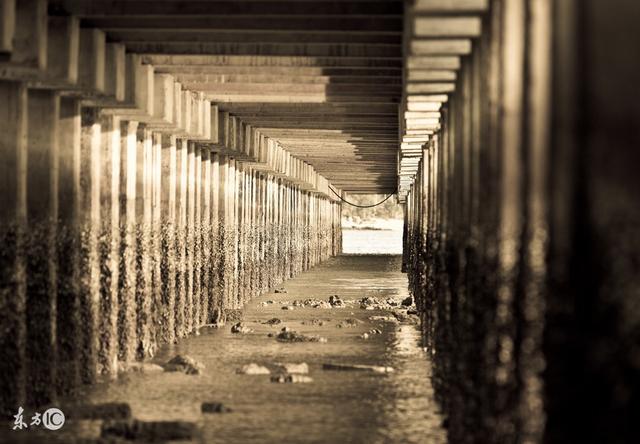 小说：六具尸体出现在我们面前，身边哥们竟然主动跟上了他们