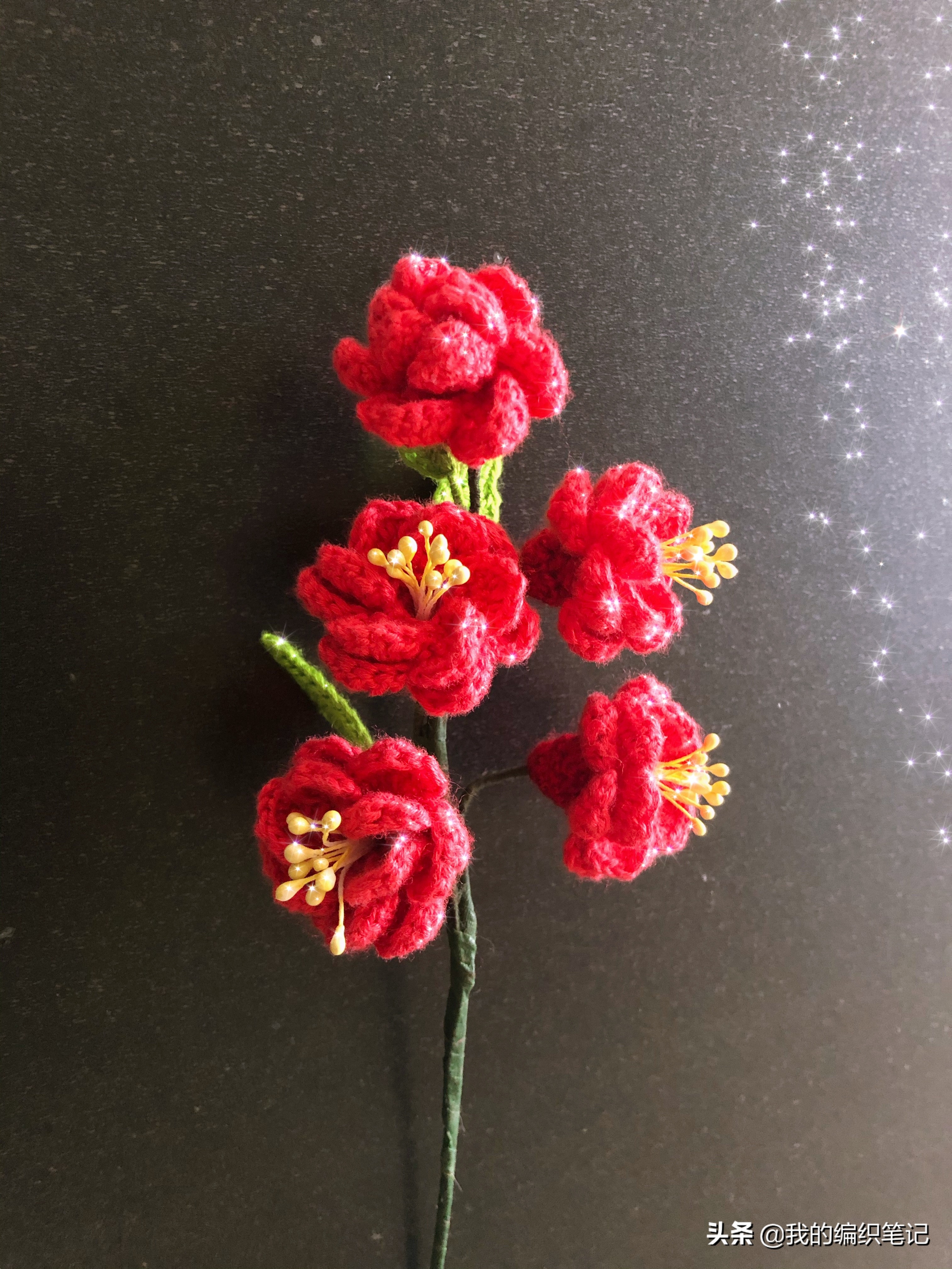 毛线钩针编织梅花视频,钩针梅花花束